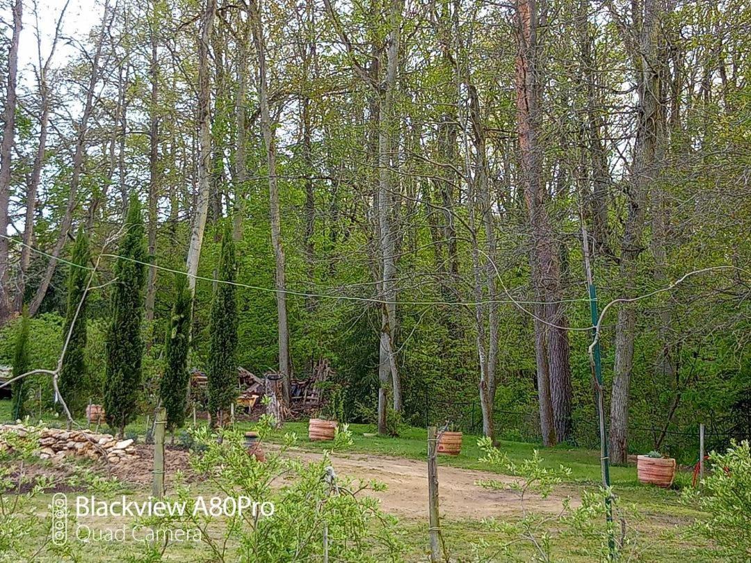 La Sablonnière de Rochefort Esterno foto