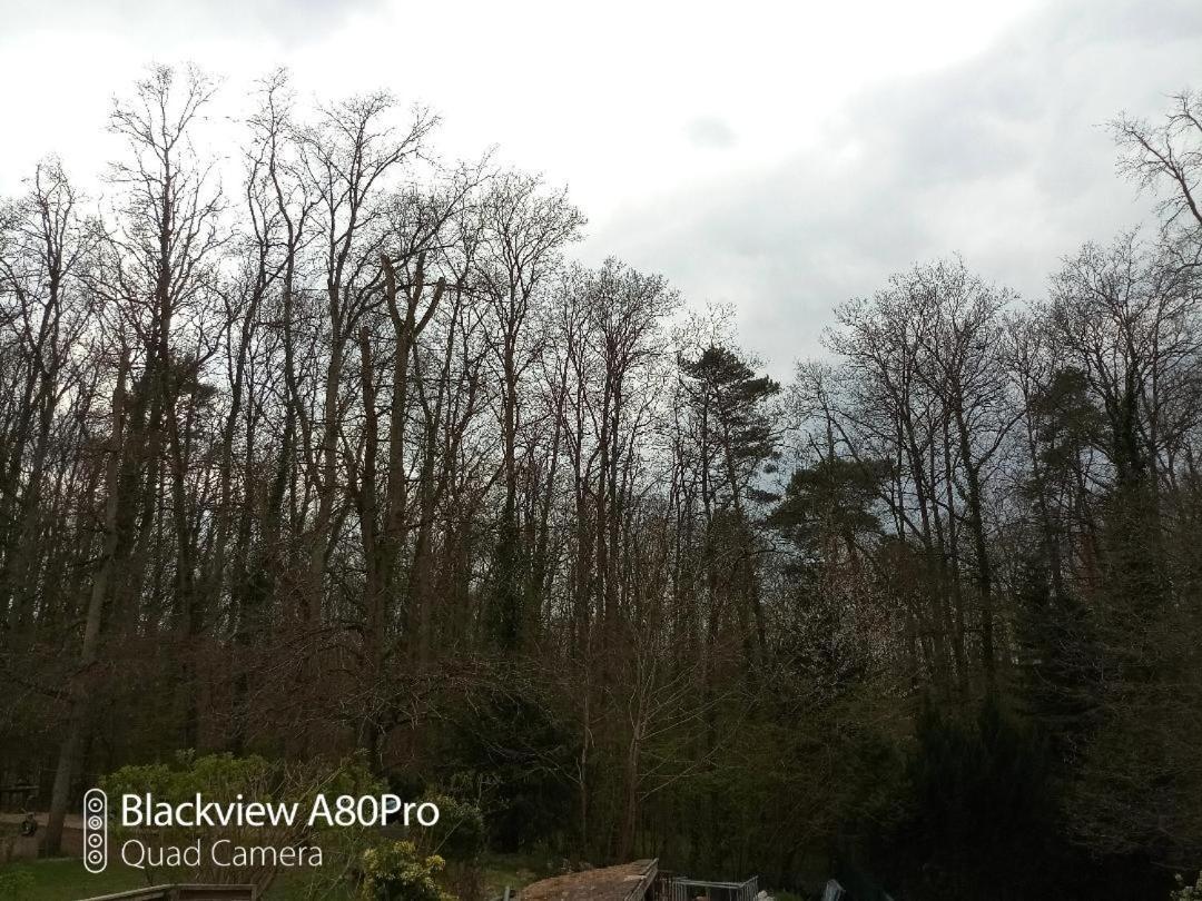 La Sablonnière de Rochefort Esterno foto