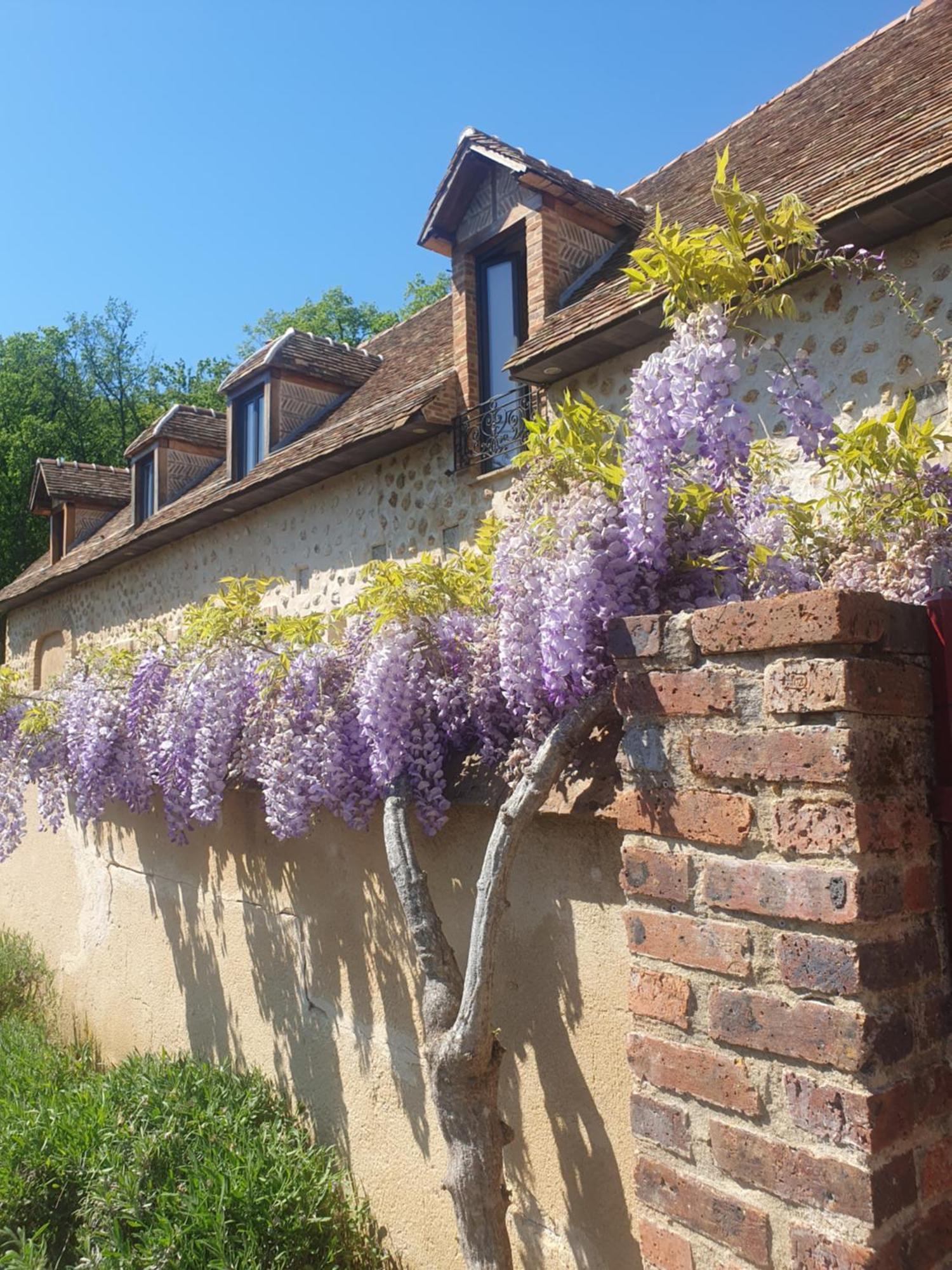 La Sablonnière de Rochefort Esterno foto
